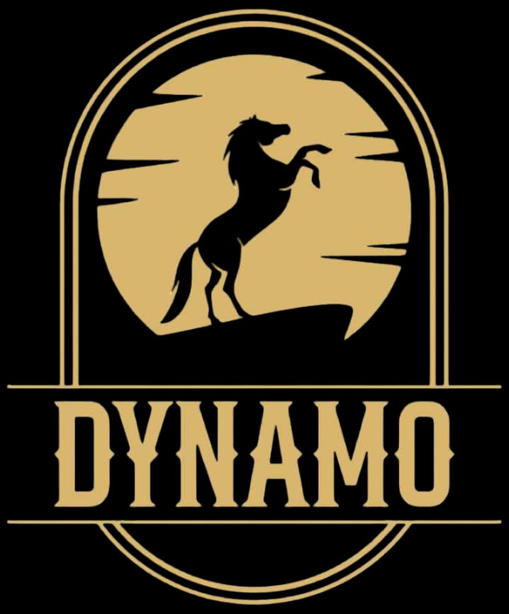 Dynamo Vagator